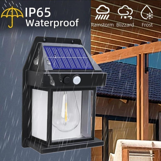 Solar Motion Sensor Wall Light
