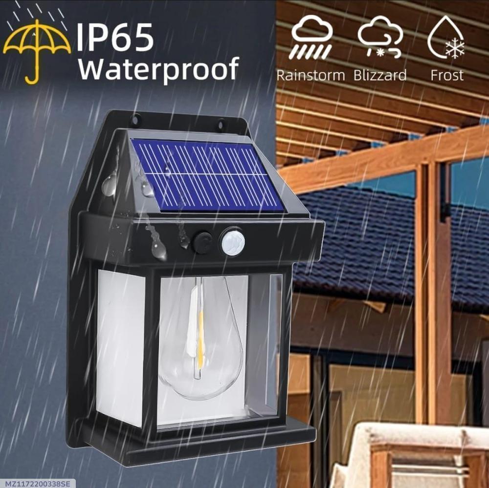 Solar Motion Sensor Wall Light